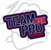 Team Pro NSK -      .