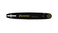  CHAMPION 13